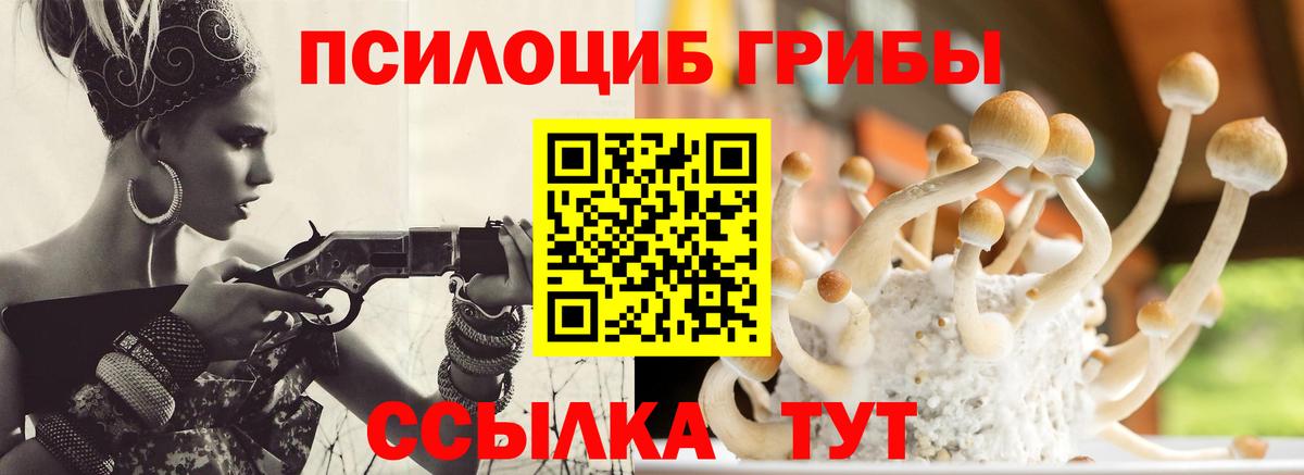 Галлюциногенные грибы мицелий Дзержинский